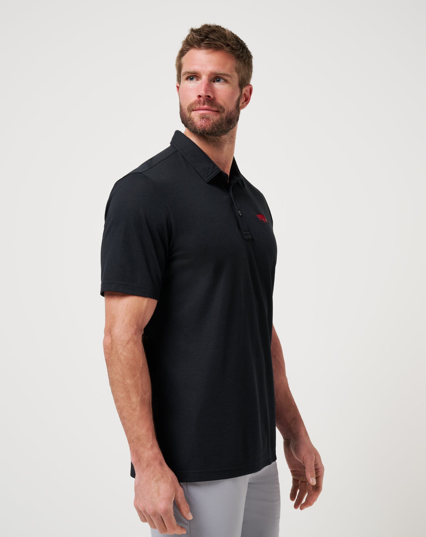 Arkansas School Pride Polo - Image 2