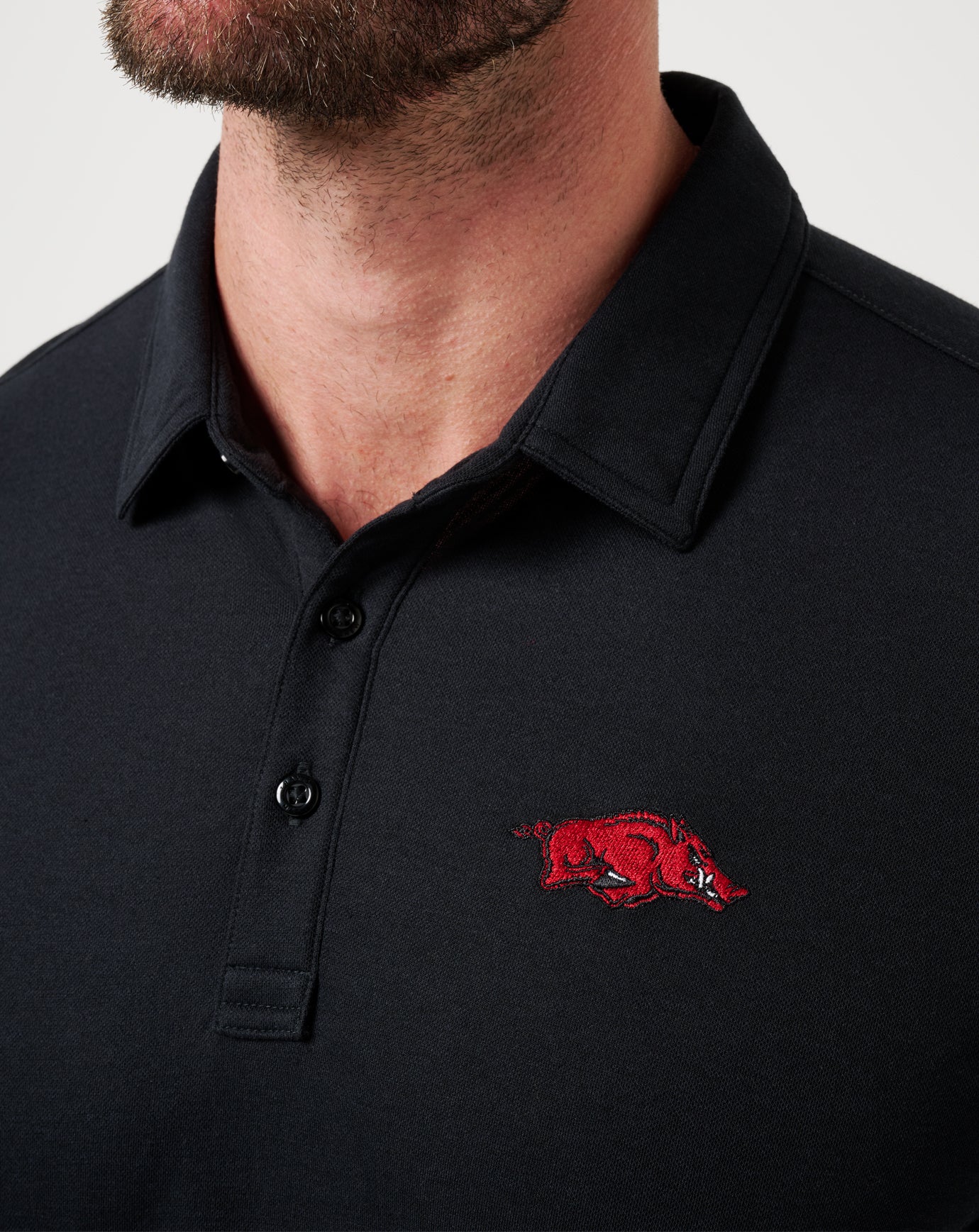 Arkansas School Pride Polo - Image 4