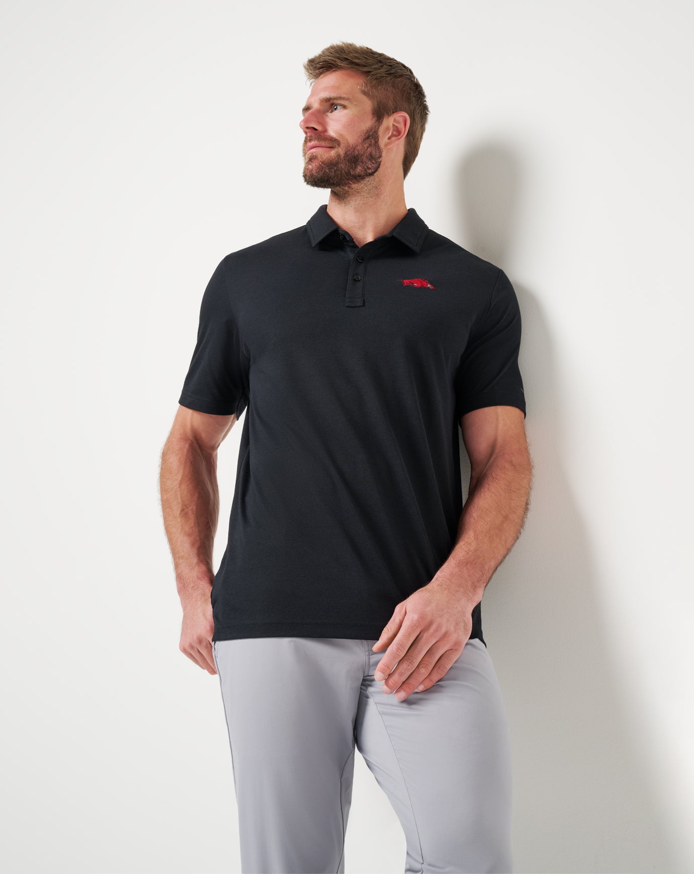 Arkansas School Pride Polo - Image 6